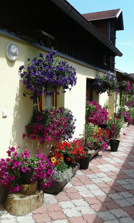 Penzion Many Peny Jindřichŭv Hradec Exterior foto